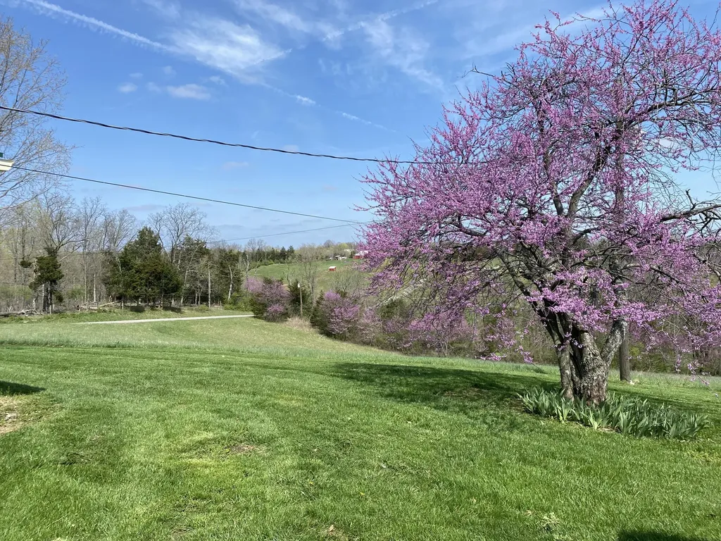 317 Short Road Salvisa KY 40372