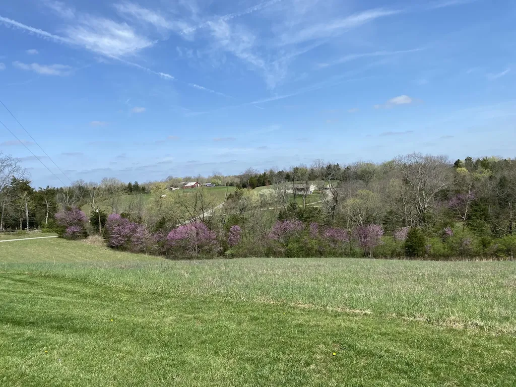 317 Short Road Salvisa KY 40372