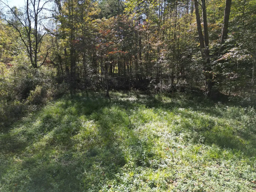 9999 Reed Branch Road Manchester KY 40962