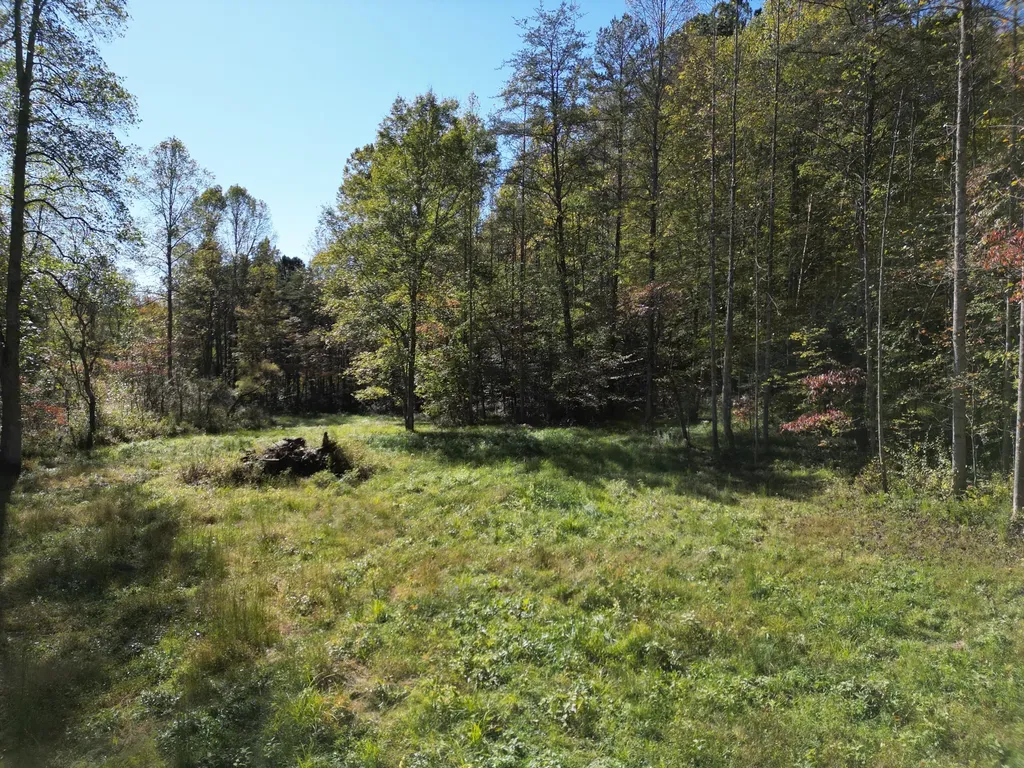 9999 Reed Branch Road Manchester KY 40962