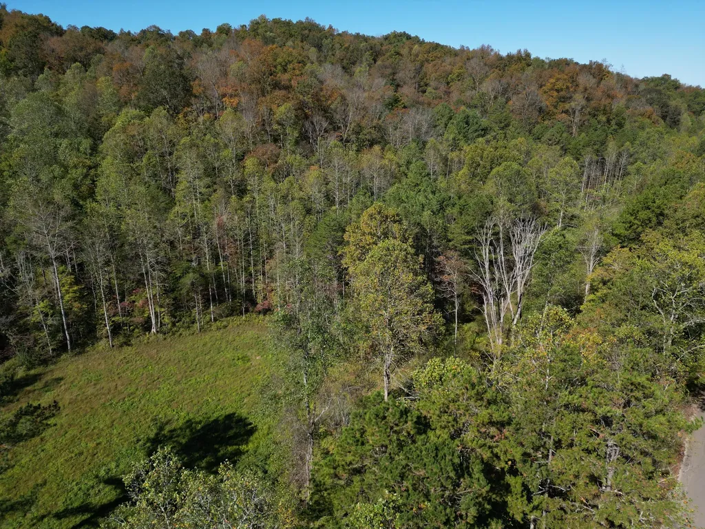 9999 Reed Branch Road Manchester KY 40962