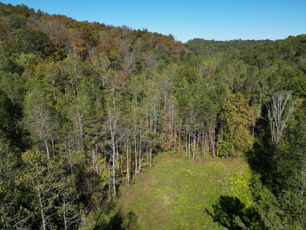 9999 Reed Branch Road Manchester KY 40962