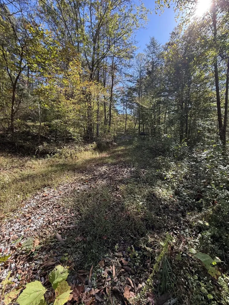 9999 Reed Branch Road Manchester KY 40962