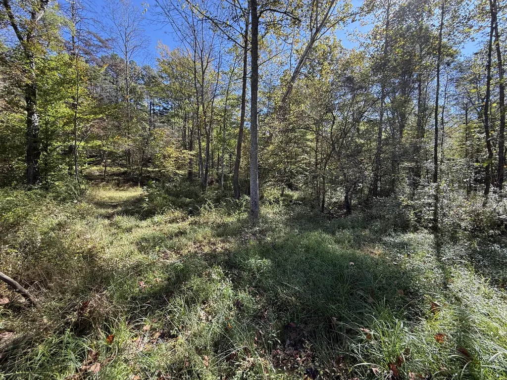 9999 Reed Branch Road Manchester KY 40962
