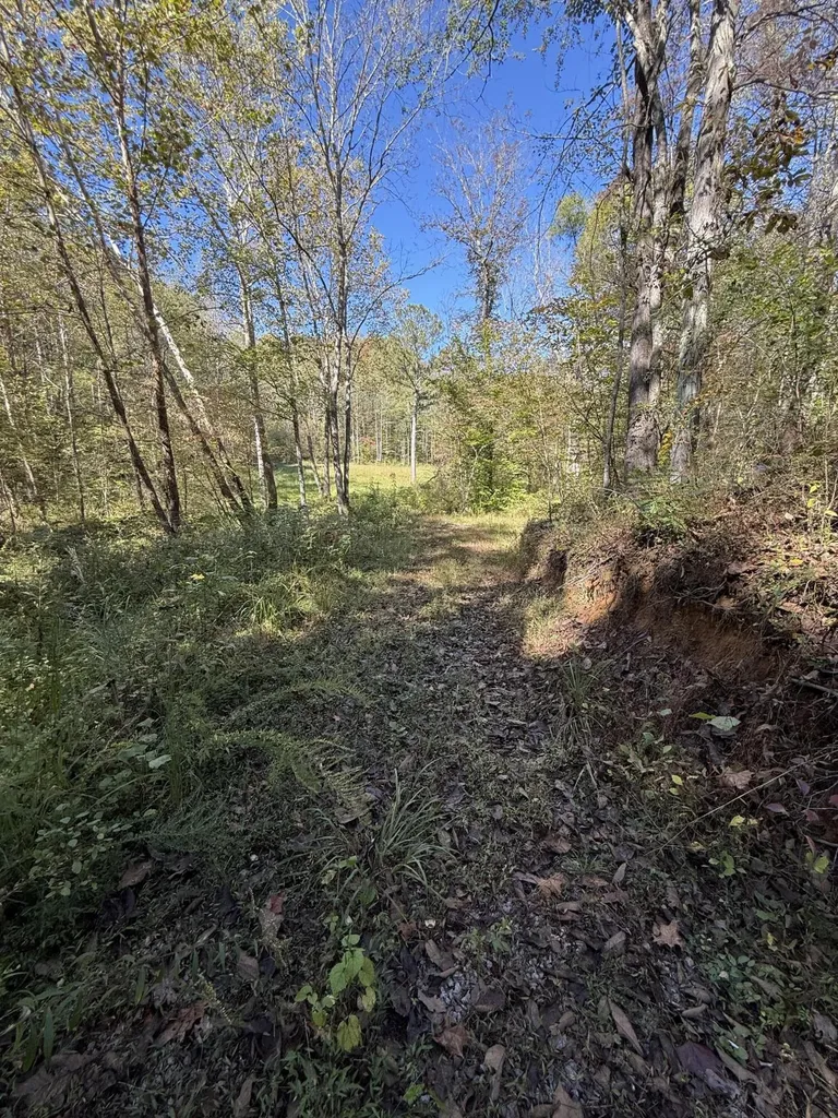 9999 Reed Branch Road Manchester KY 40962