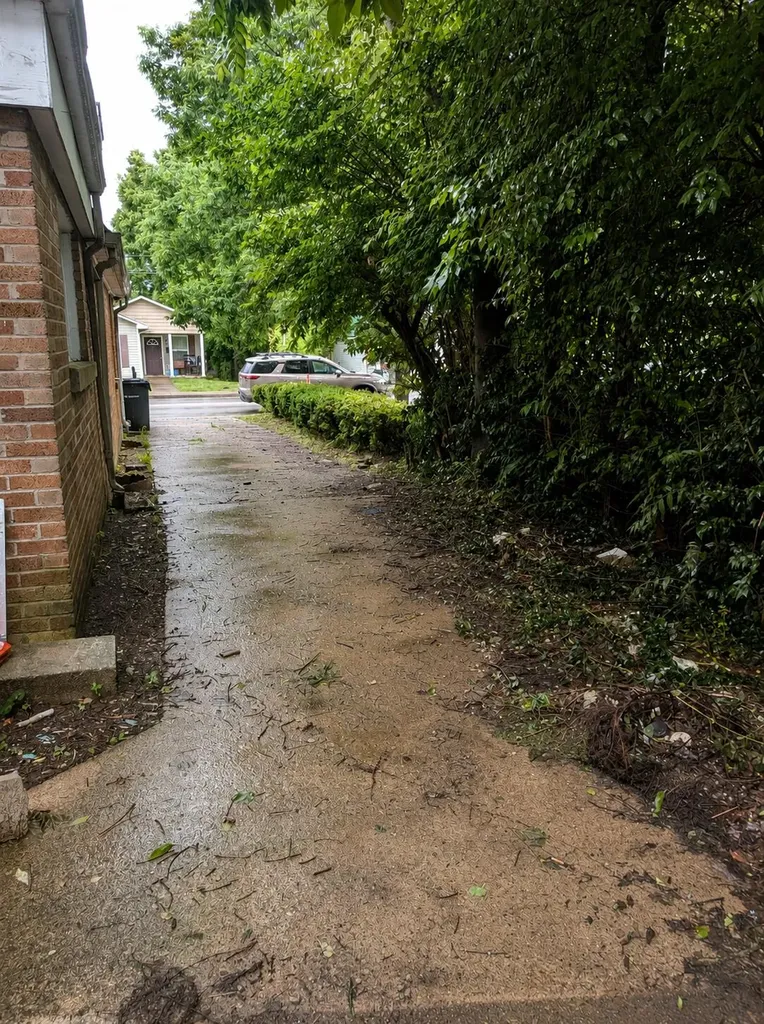 439 Glen Arvin Avenue Lexington KY 40508