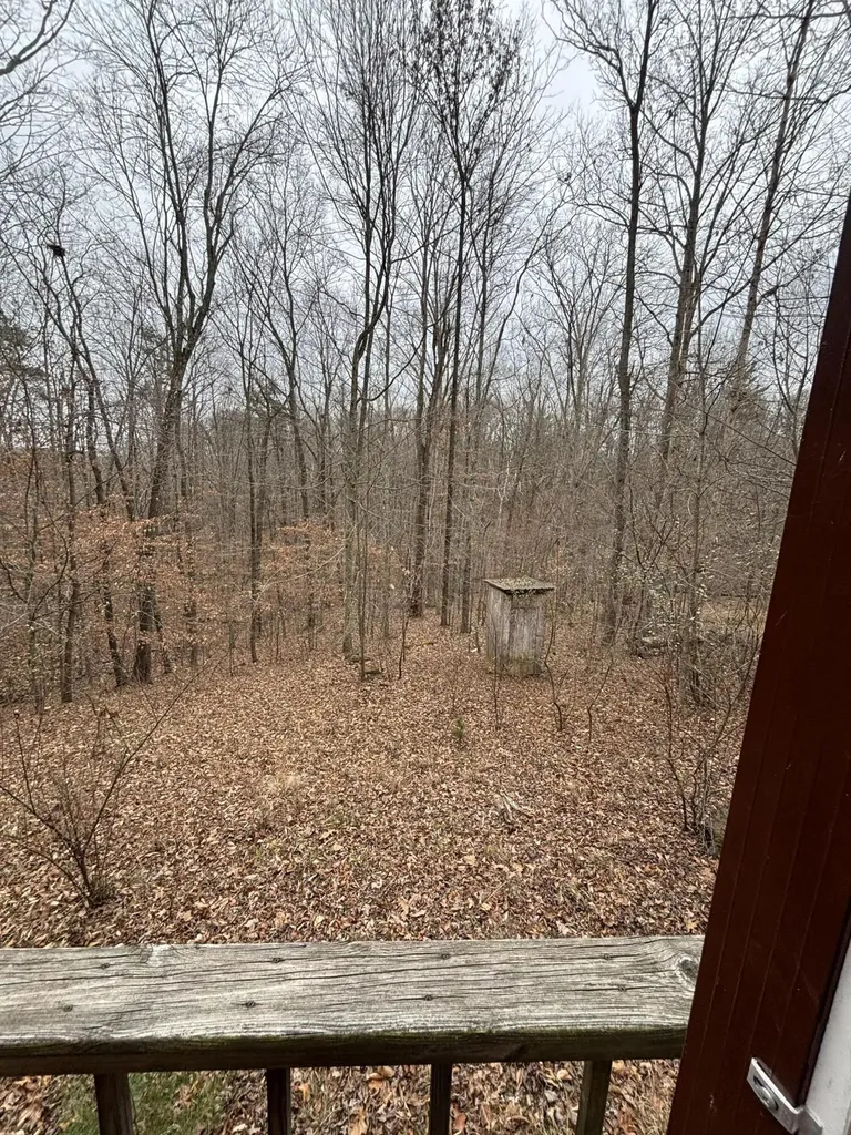 86 Elm Avenue Nancy KY 42544