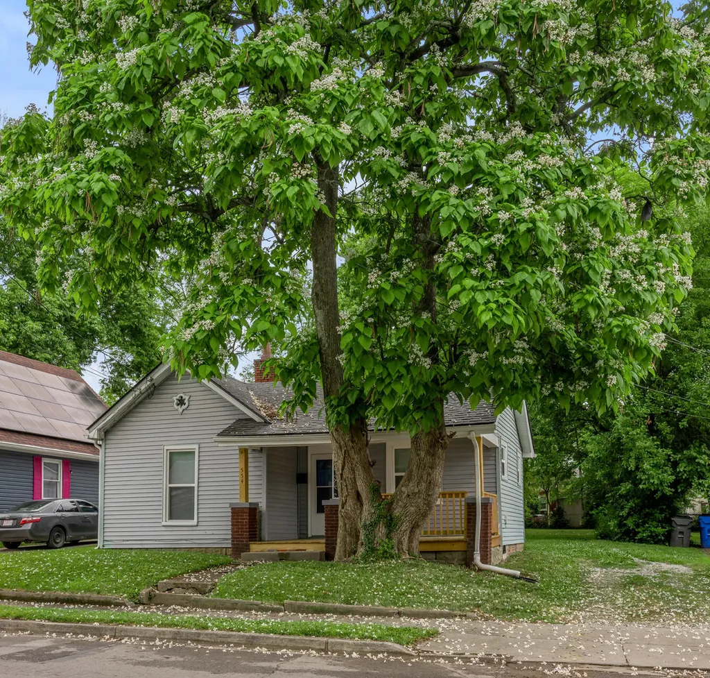 554 Chestnut Street Lexington KY 40508