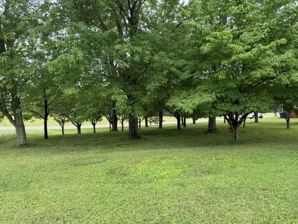 1111 Browning Acres Road Corbin KY 40701