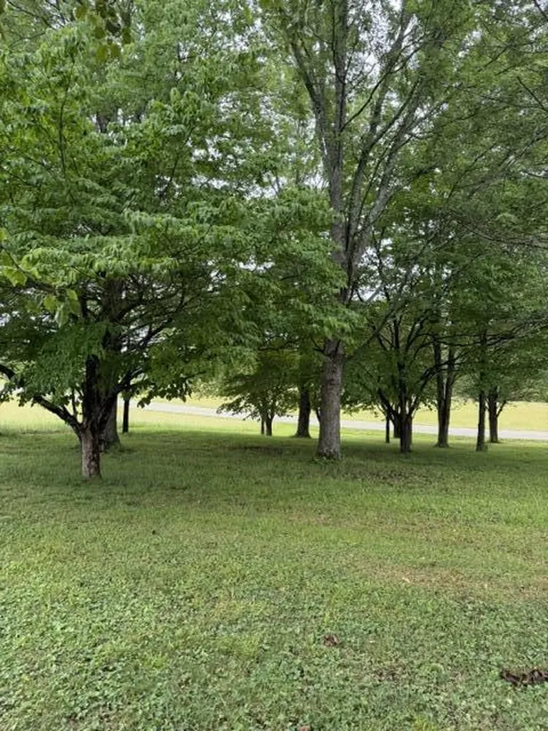 1111 Browning Acres Road Corbin KY 40701