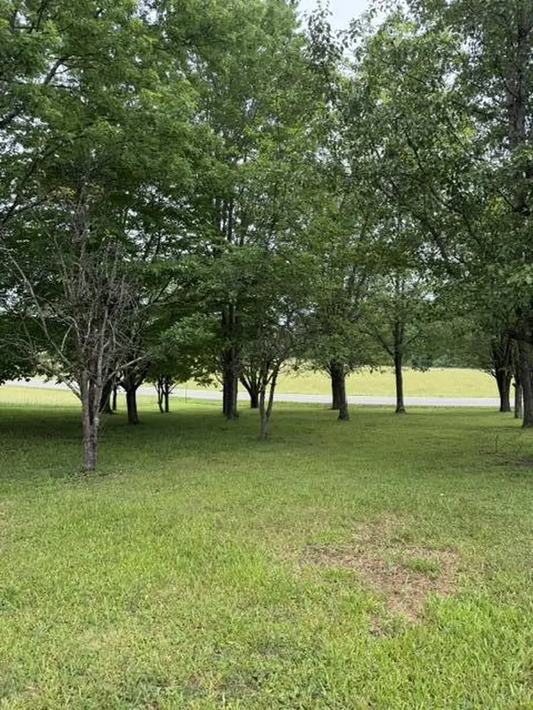1111 Browning Acres Road Corbin KY 40701