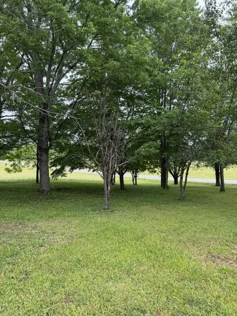 1111 Browning Acres Road Corbin KY 40701