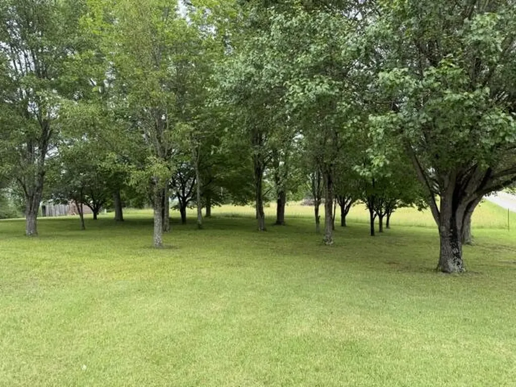 1111 Browning Acres Road Corbin KY 40701
