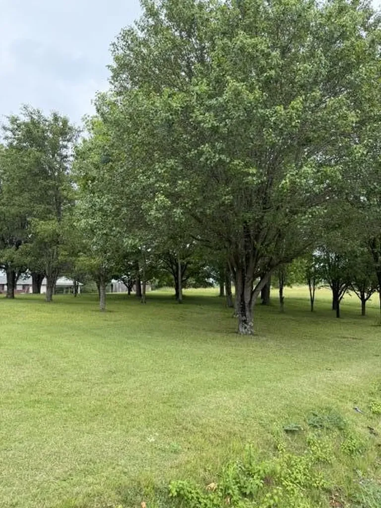 1111 Browning Acres Road Corbin KY 40701