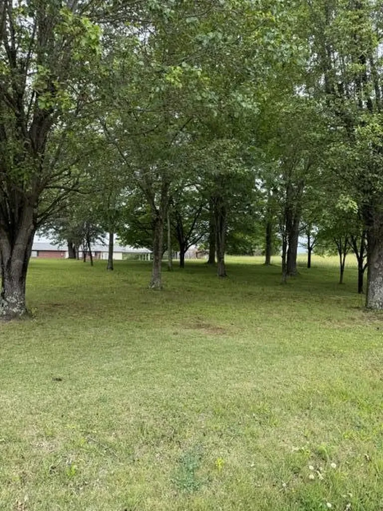 1111 Browning Acres Road Corbin KY 40701