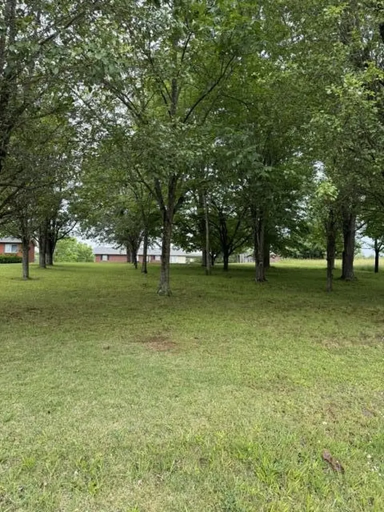 1111 Browning Acres Road Corbin KY 40701