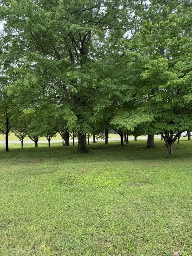 1111 Browning Acres Road Corbin KY 40701
