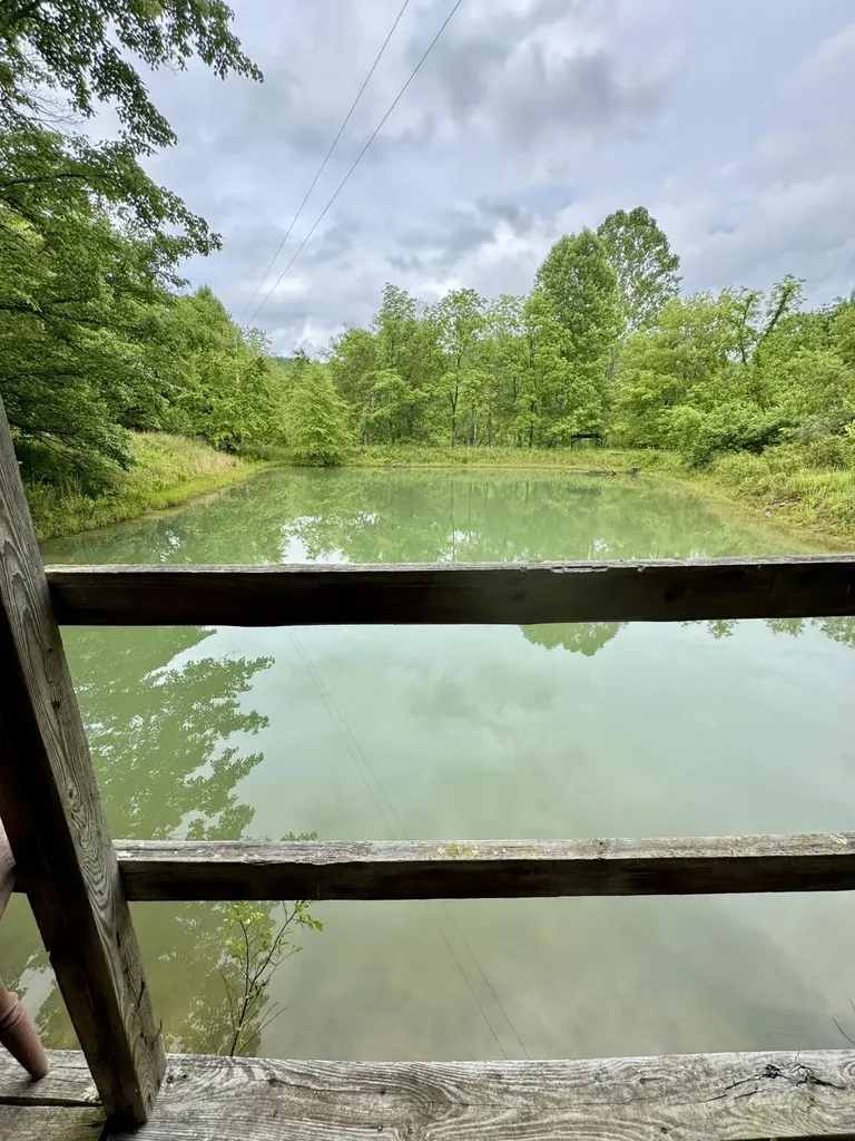 88 Mae Gumm Road Tyner KY 40486