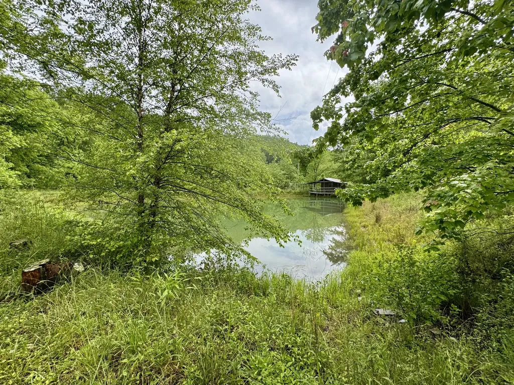 88 Mae Gumm Road Tyner KY 40486