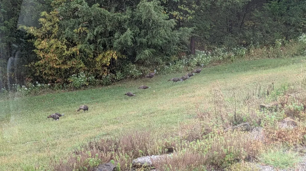 863 Mink Run Road Frankfort KY 40601