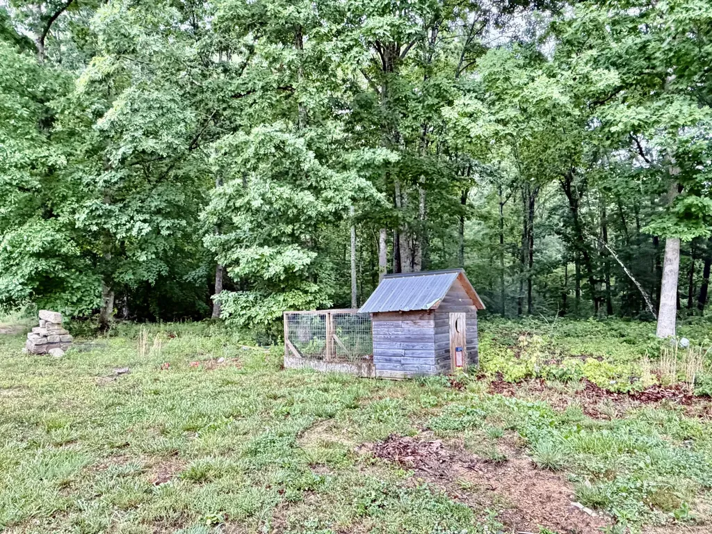 915 Oscar Morgan Road Strunk KY 42649