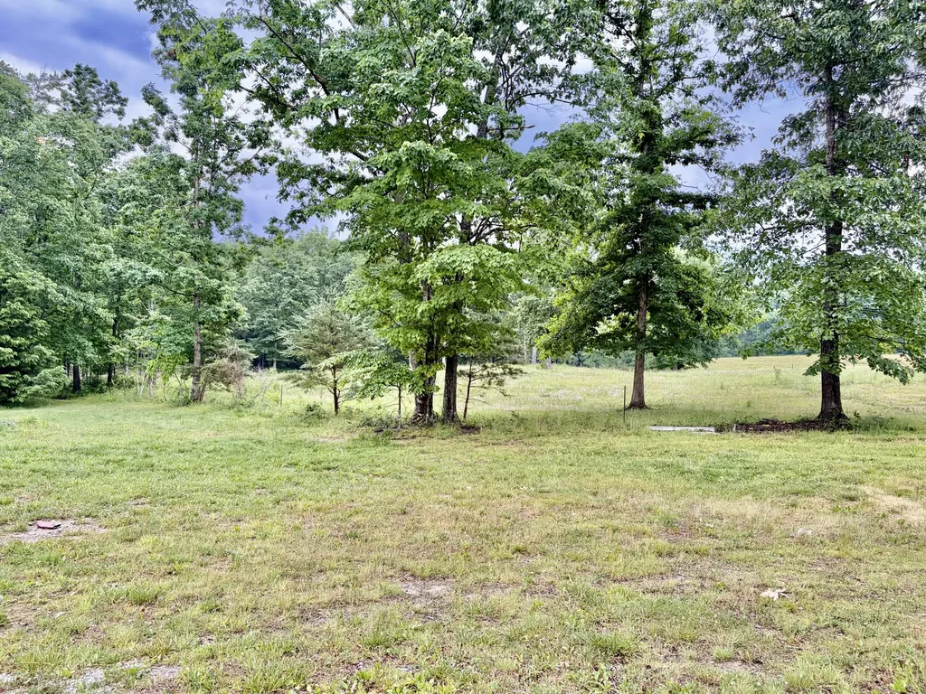 915 Oscar Morgan Road Strunk KY 42649
