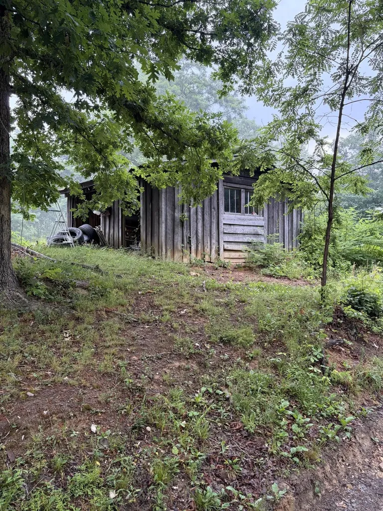 915 Oscar Morgan Road Strunk KY 42649