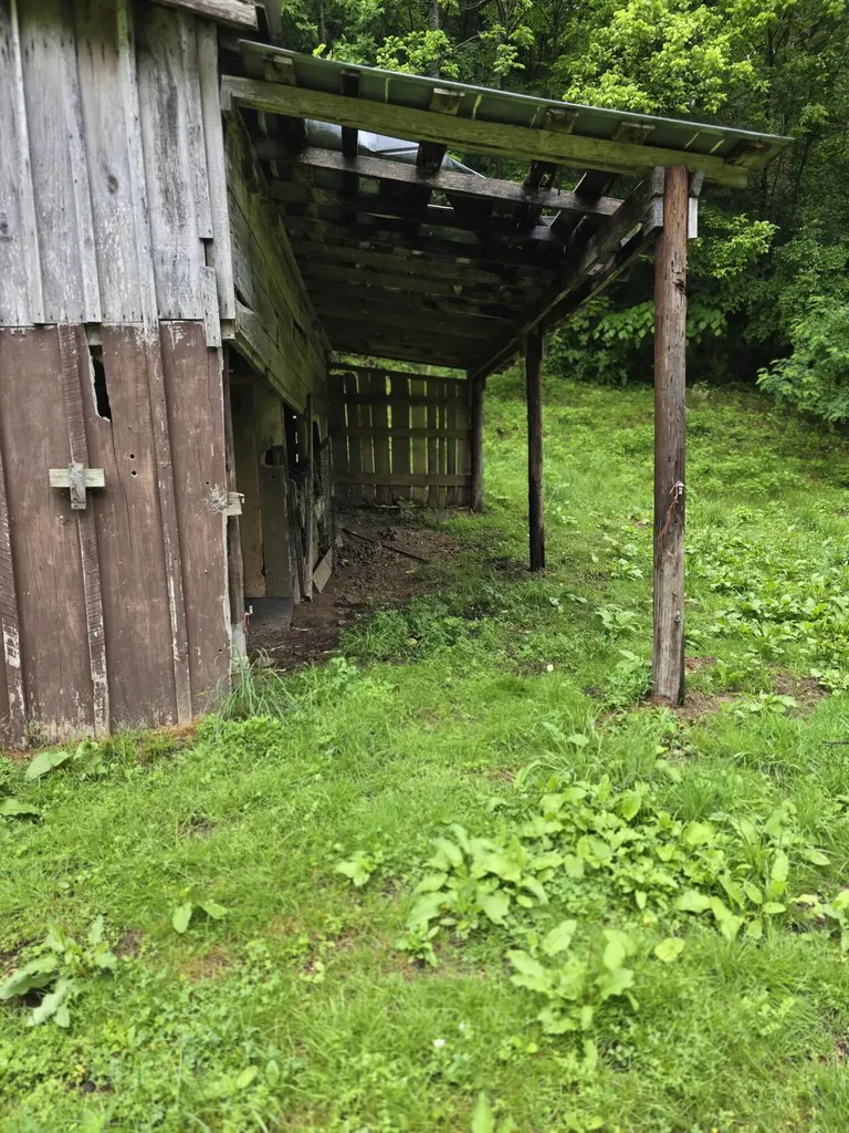 1698 Dry Creek Road Topmost KY 41862