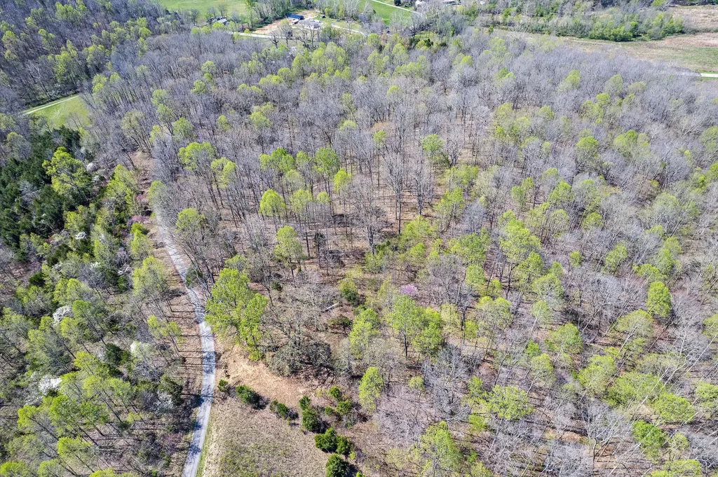 0 Brushy Road Mount Sherman KY 42764