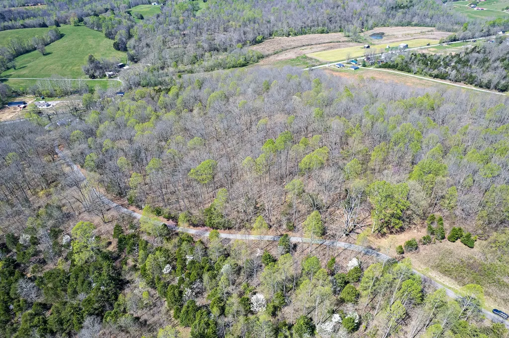 0 Brushy Road Mount Sherman KY 42764