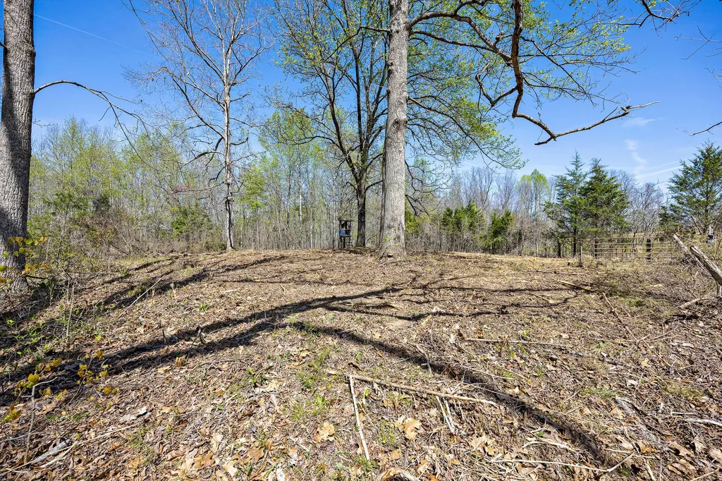 0 Brushy Road Mount Sherman KY 42764