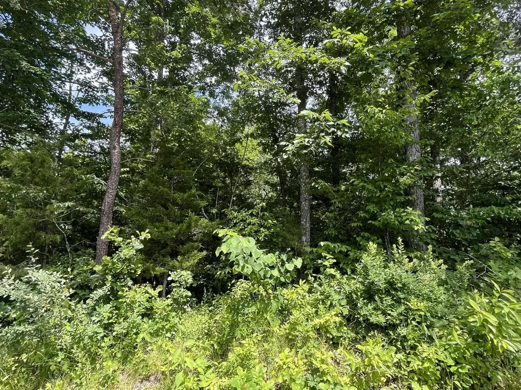 Lot 6 Kelly Place Road Somerset KY 42501