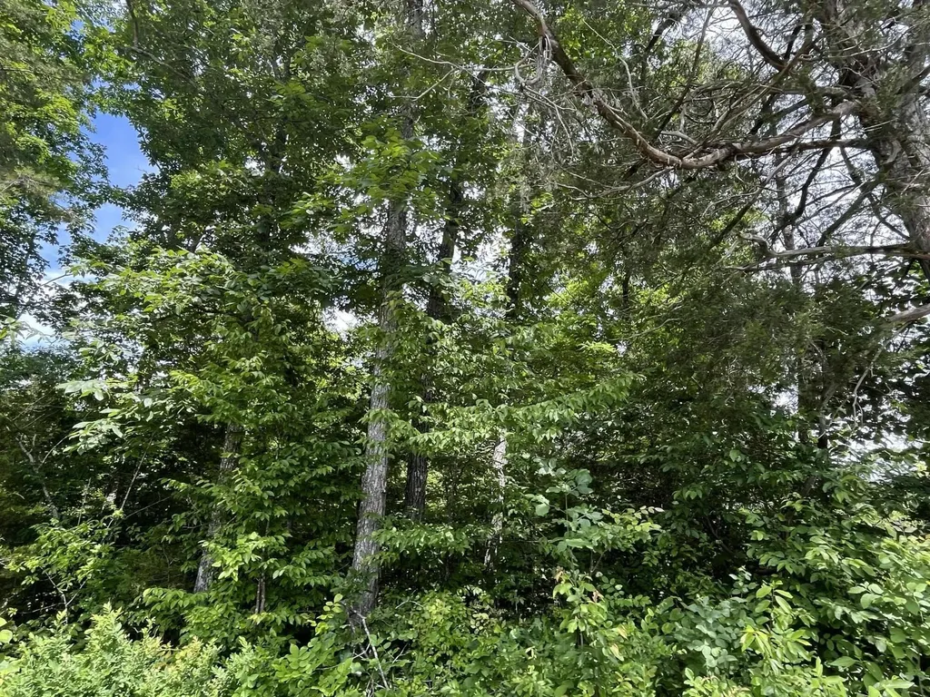 Lot 6 Kelly Place Road Somerset KY 42501