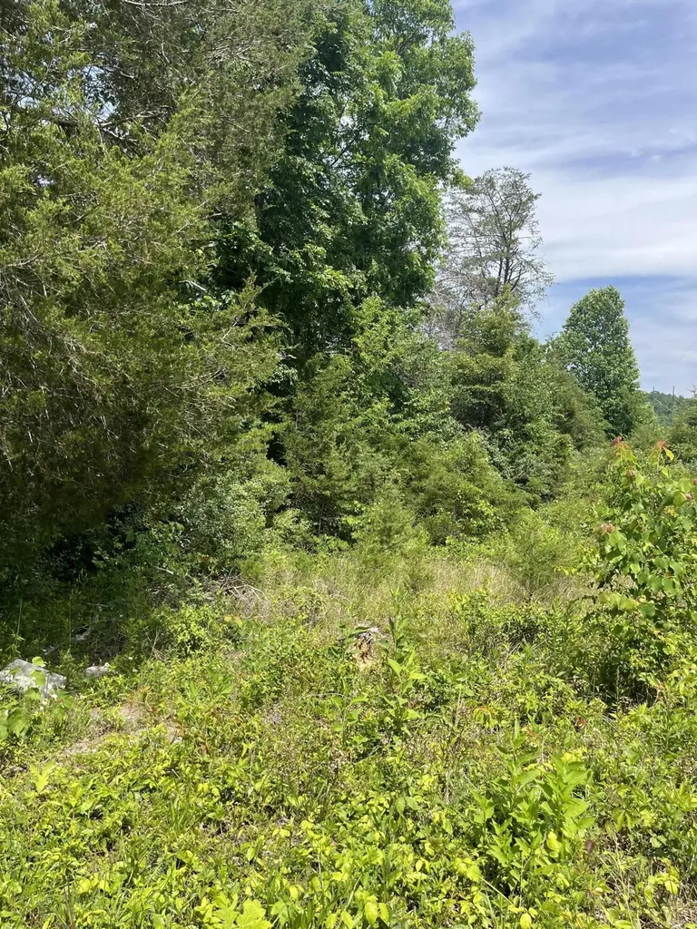 Lot 6 Kelly Place Road Somerset KY 42501
