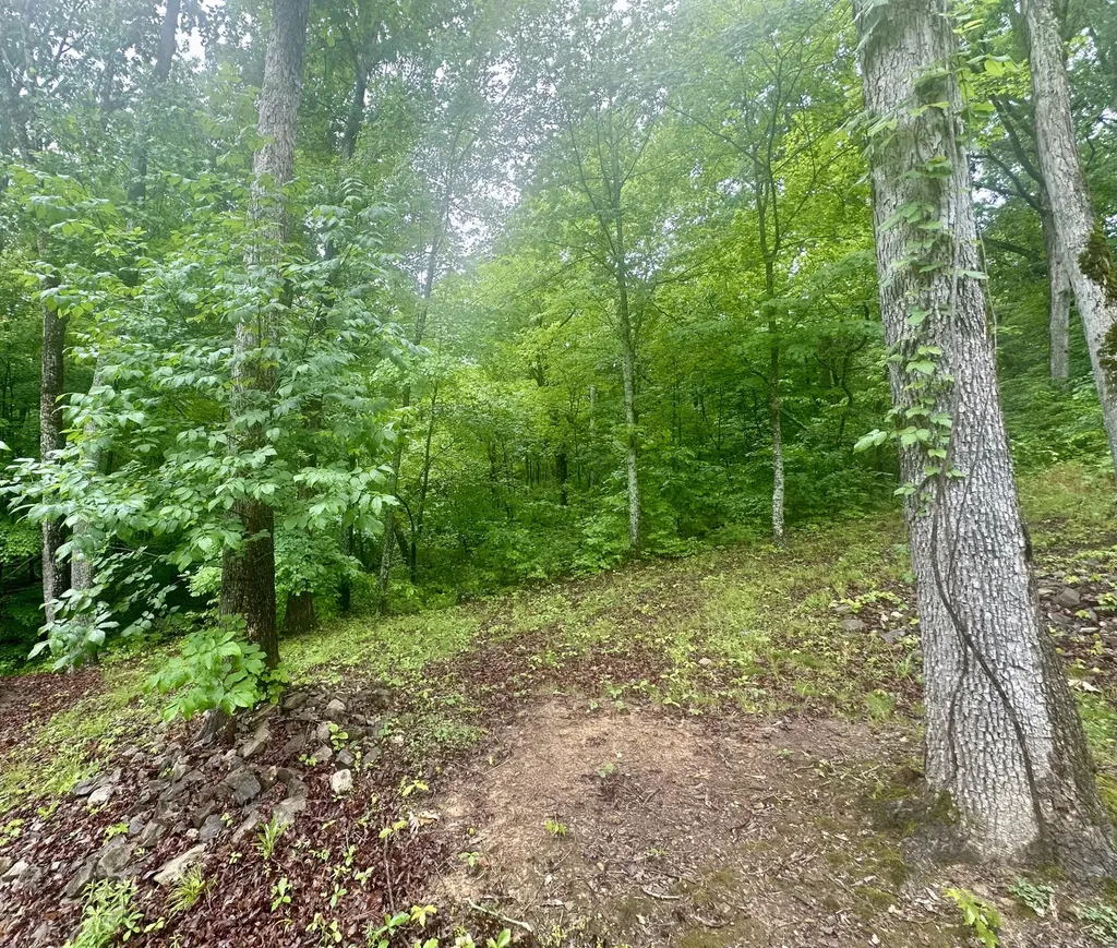 1150 Haynes Knob Road Somerset KY 42501