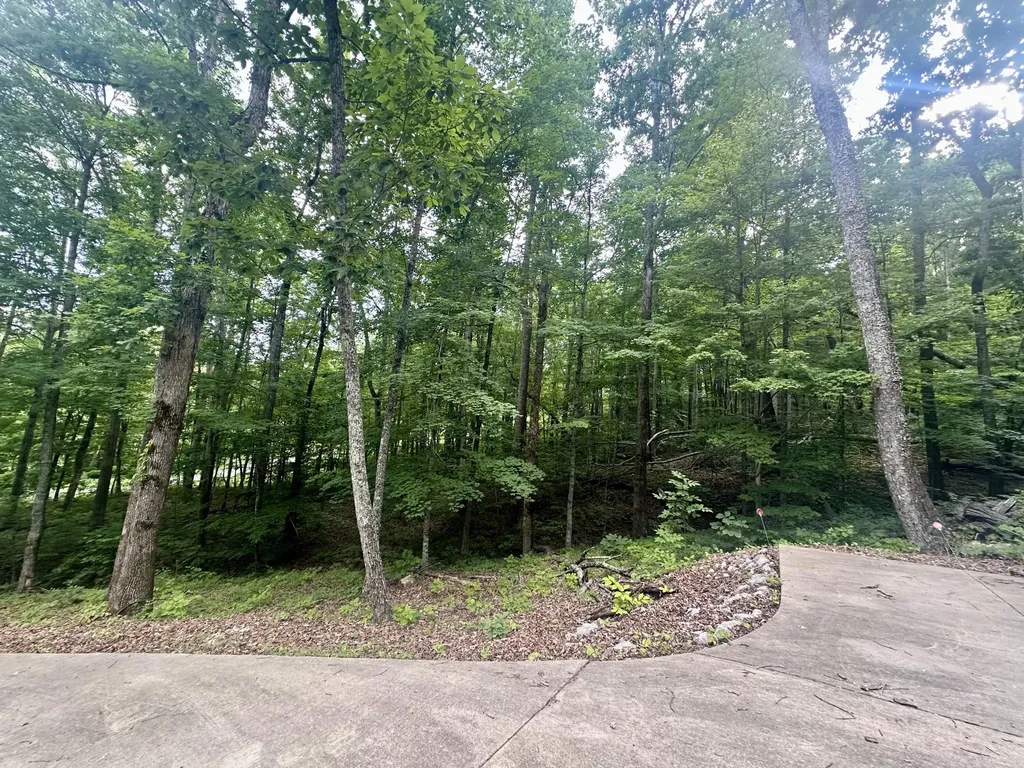 1150 Haynes Knob Road Somerset KY 42501