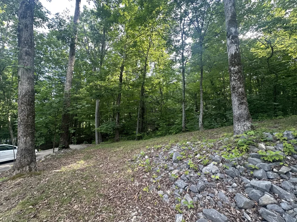 1150 Haynes Knob Road Somerset KY 42501