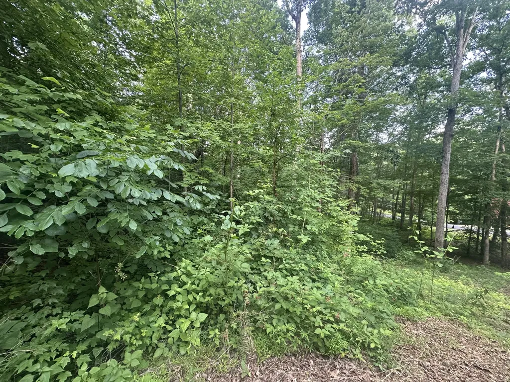 1150 Haynes Knob Road Somerset KY 42501