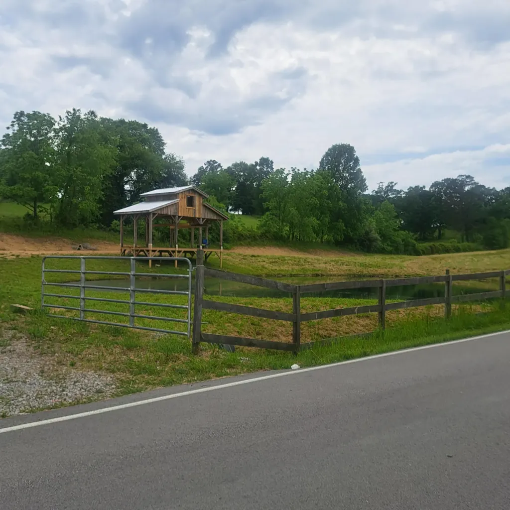 1283 Mcgill Wyan Road London KY 40744