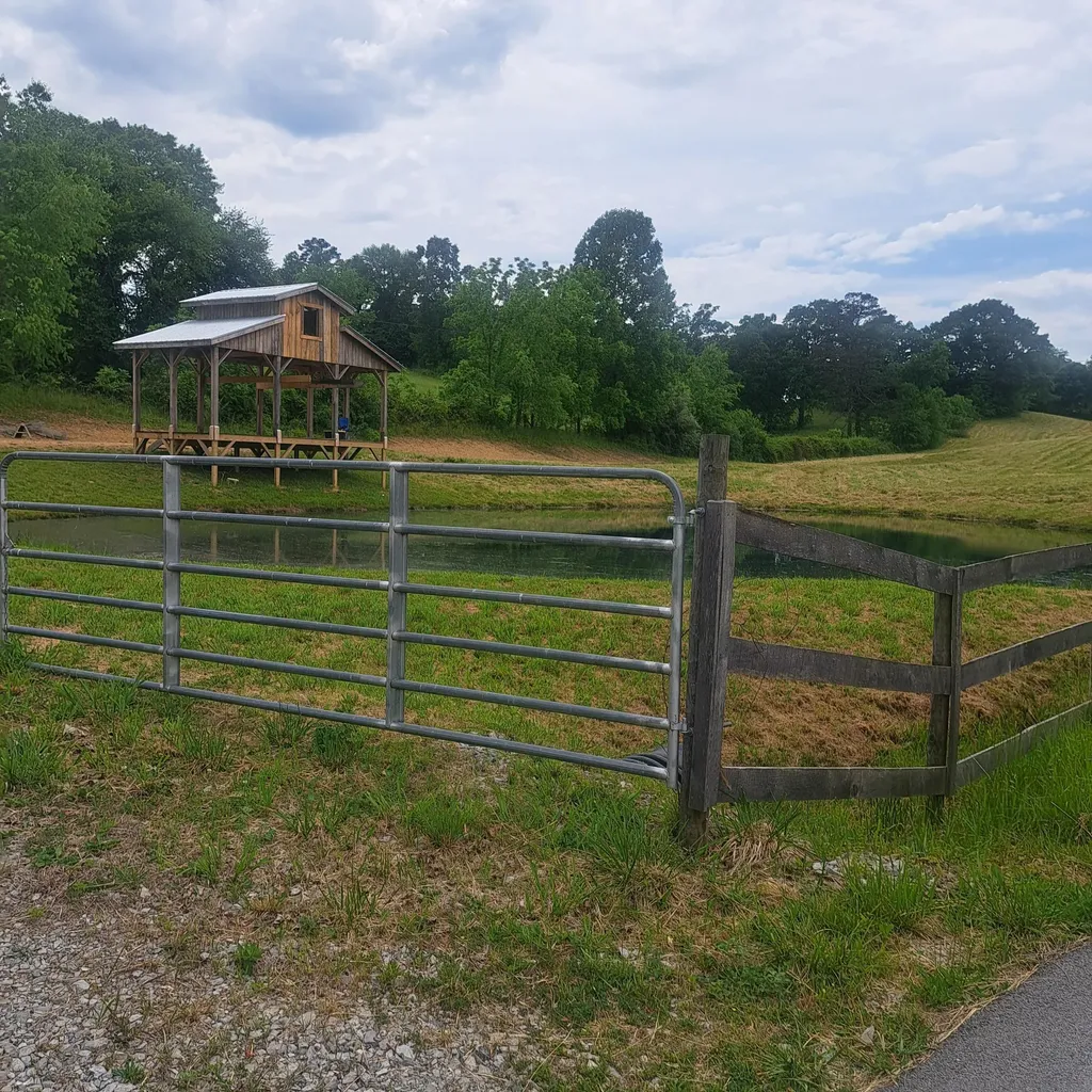 1283 Mcgill Wyan Road London KY 40744