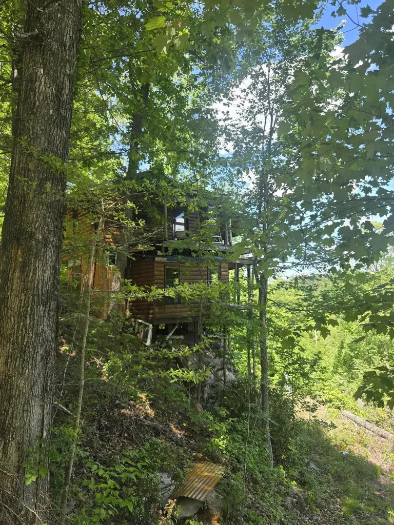 Lot 93 And 94 Lairson (indian Valley) Road Zoe KY 41397