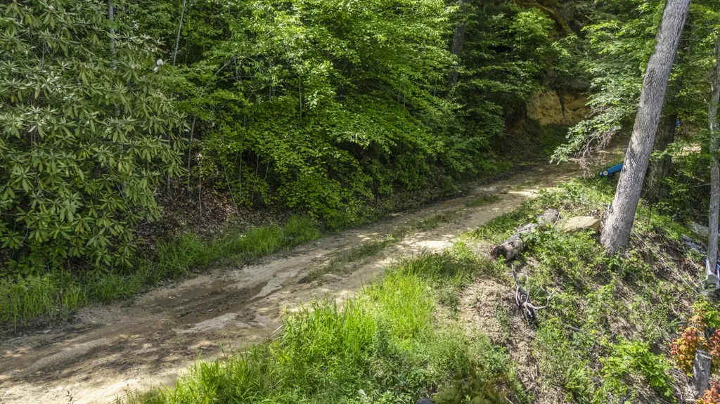 Lot 93 And 94 Lairson (indian Valley) Road Zoe KY 41397