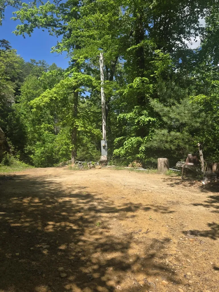Lot 93 And 94 Lairson (indian Valley) Road Zoe KY 41397