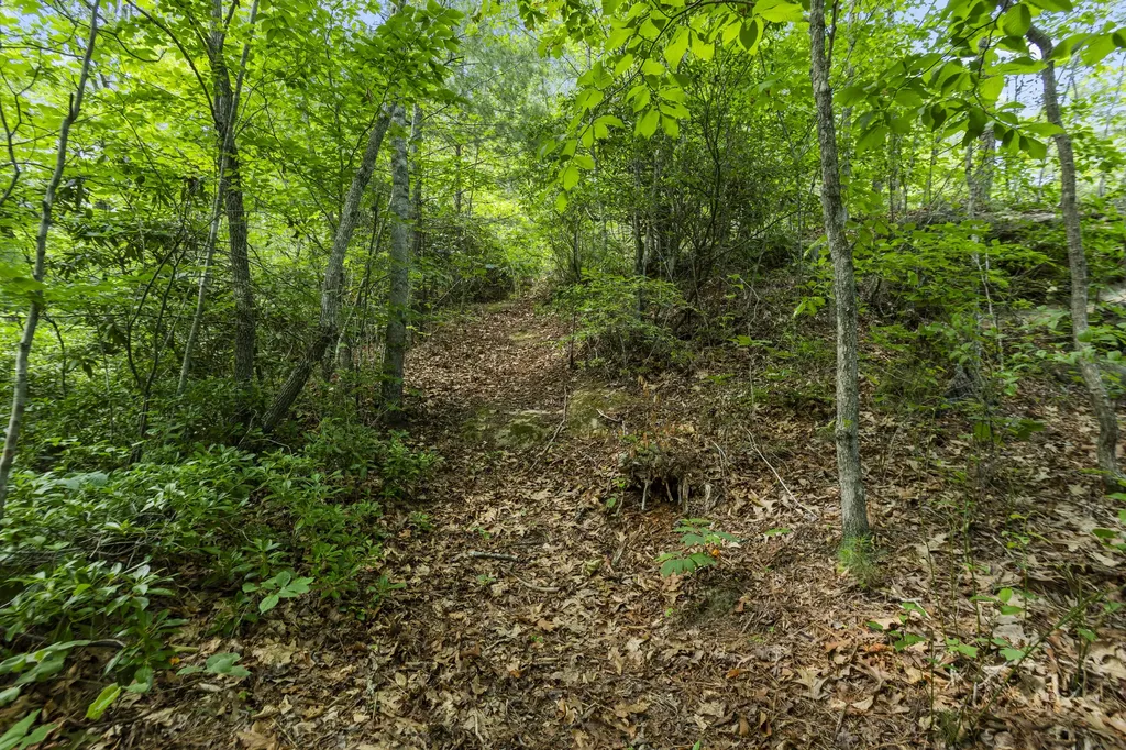 Lot 93 And 94 Lairson (indian Valley) Road Zoe KY 41397