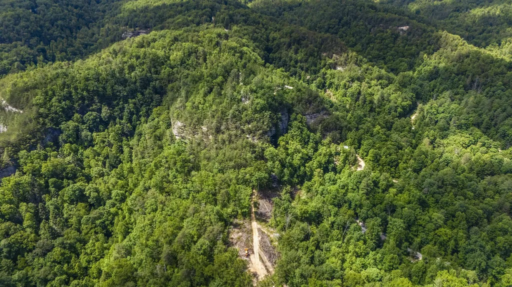 Lot 93 And 94 Lairson (indian Valley) Road Zoe KY 41397
