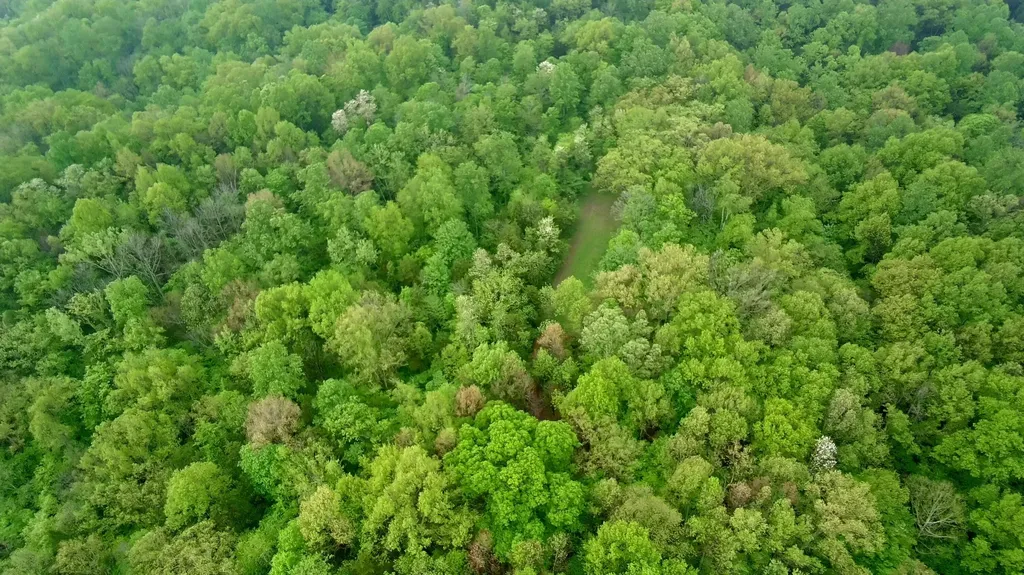 7014 Organ Creek Circle Pendleton KY 40055