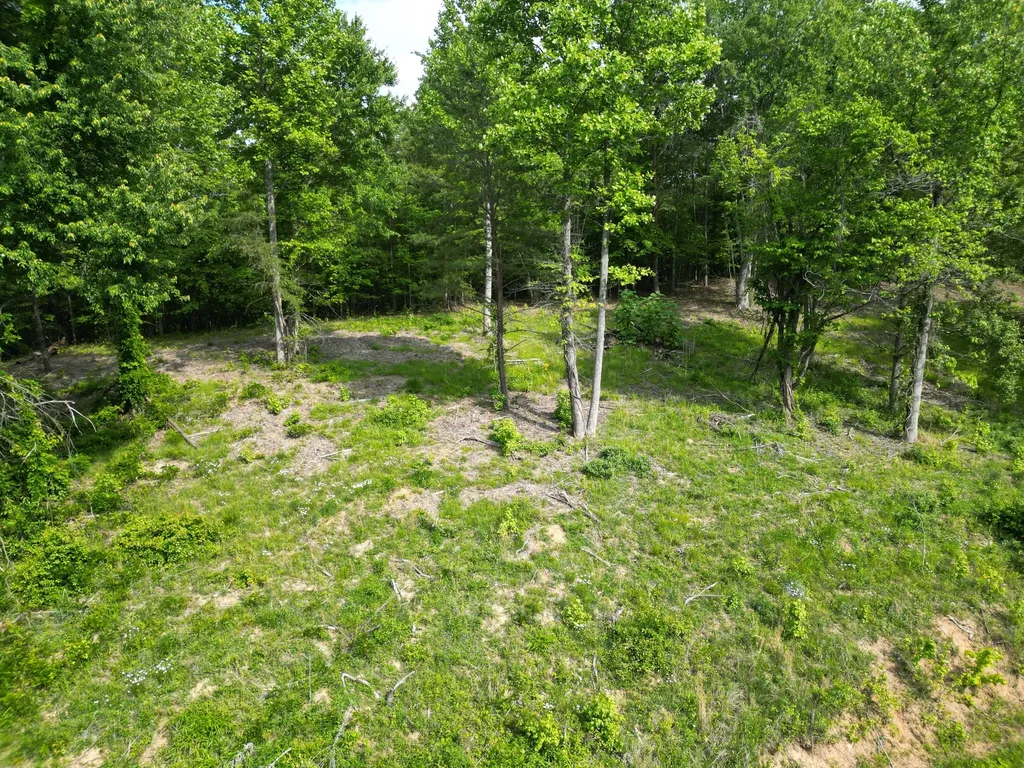 999 5th Street Road Corbin KY 40701