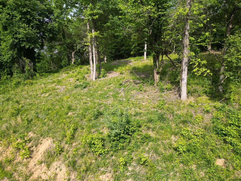 999 5th Street Road Corbin KY 40701