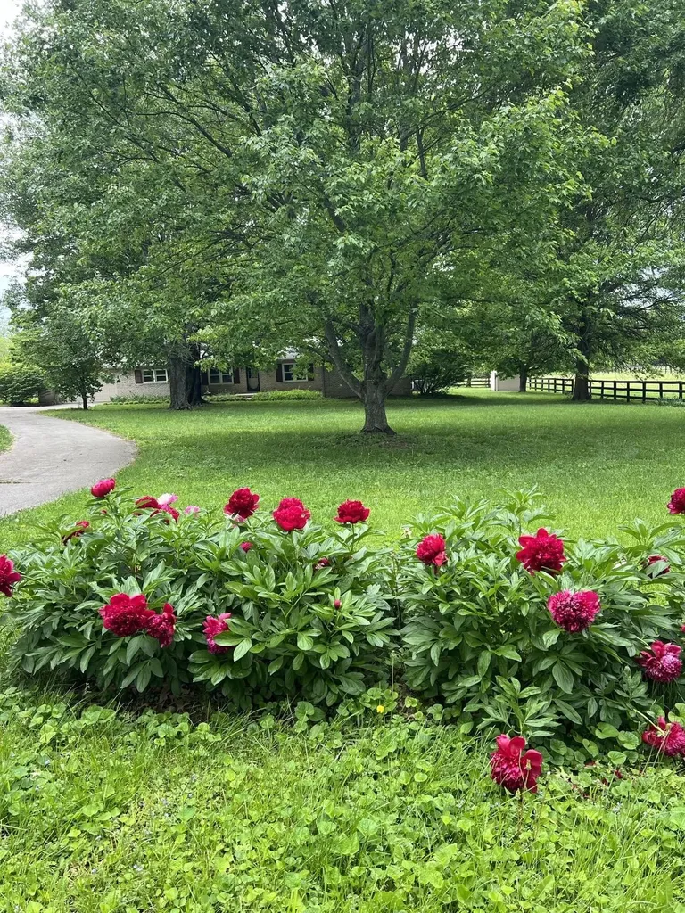 629 Craig Lane Georgetown KY 40324