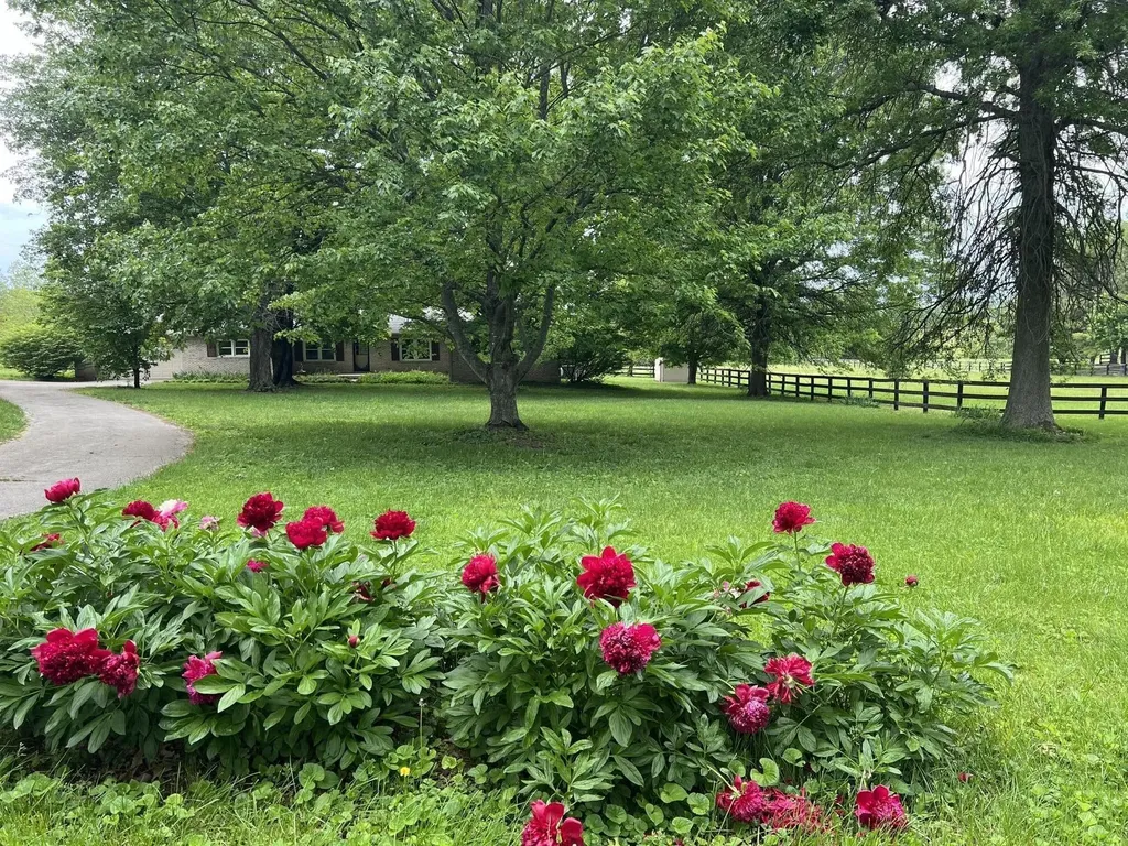 629 Craig Lane Georgetown KY 40324
